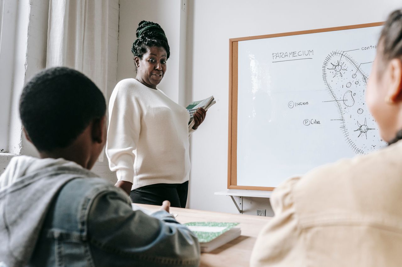 African American female teacher standing near whiteboard and explaining scheme to pupils during lesson in school